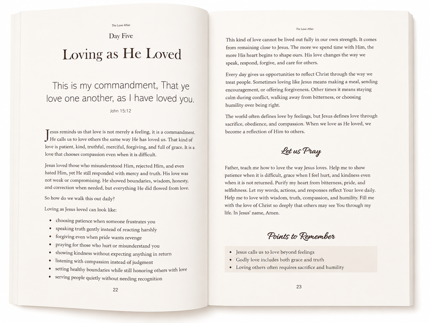 The Love Affair daily devotion sneak peak.